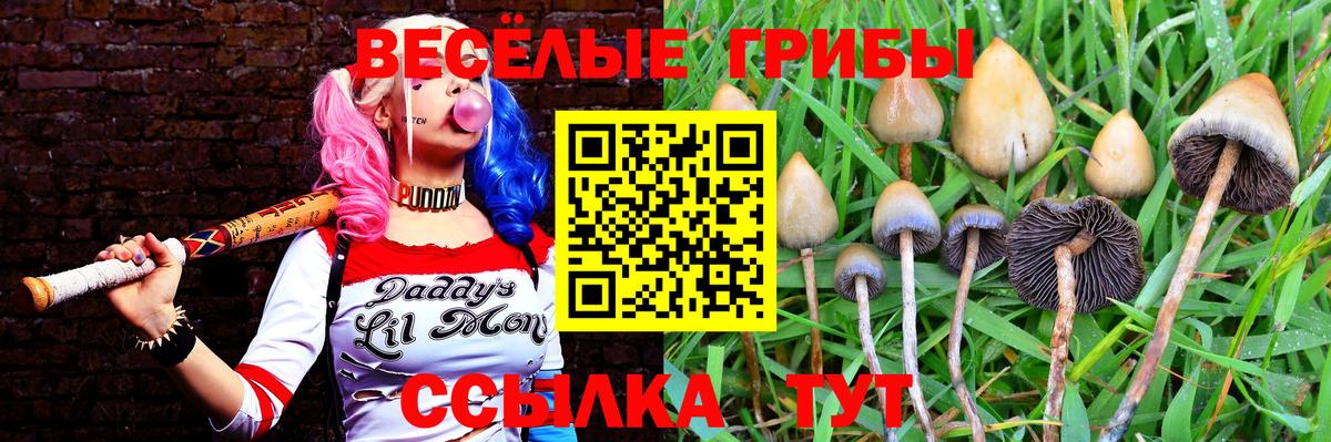 купить   Псилоцибиновые грибы прущие грибы  Вход с VPN  Норильск 